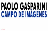 PAOLO GASPARINI CAMPO DE IMÁGENES
