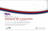 Integral de Leucemia - SOCHIHEM