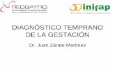 DIAGNÓSTICO DE GESTACIÓN - UNAM