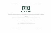 TESIS - repositorio-digital.cide.edu