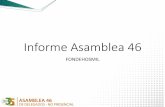 Informe Asamblea 46 - FONDEHOSMIL