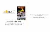 INFORME DE GESTIÒN 2017 - ADELI