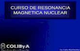 CURSO DE RESONANCIA MAGNETICA NUCLEAR