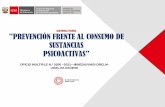ASISTENCIA TÉCNICA PREVENCIÓN FRENTE AL CONSUMO DE ...