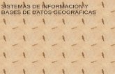 SISTEMAS DE INFORMACIÓN Y BASES DE DATOS GEOGRÁFICAS