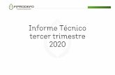 Informe Técnico tercer trimestre 2020 - Jalisco