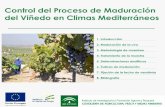 Control del Proceso de Maduración del Viñedo en Climas ...