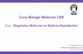 Curso Biología Molecular CMR