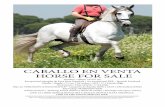 CABALLO EN VENTA HORSE FOR SALE