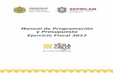 Manual de Programación y Presupuesto Ejercicio Fiscal 2022