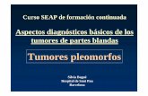 Aspectos diagnósticos básicos de los tumores de partes blandas
