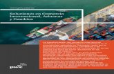 Soluciones en Comercio Internacional, Aduanas y Cambios