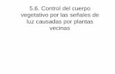 5.6. Control del cuerpo vegetativo por las señales de luz ...