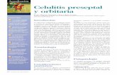 Celulitis preseptal y orbitaria - Elsevier