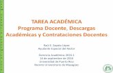 TAREA ACADÉMICA Programa Docente, Descargas Académicas y ...