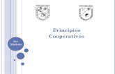 Principios Cooperativos - Facultad de Contaduría y ...