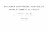 INTENDENCIA DEPARTAMENTAL DE MALDONADO REPUBLICA …
