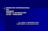 INSERCION INTERNACIONAL DEL URUGUAY - fundacionmgimenezabad.es