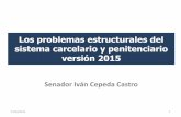 Los problemas estructurales del sistema carcelario y ...