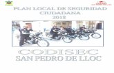 PLAN LOCAL DE SEGURIDAD CIUDADANA 2018 SAN PEDRO DE …