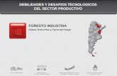 DEBILIDADES Y DESAFIOS TECNOLOGICOS DEL SECTOR PRODUCTIVO …