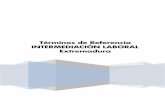 Términos de Referencia INTERMEDIACIÓN LABORAL Extremadura