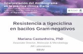 Resistencia a tigeciclina en bacilos Gram-negativos