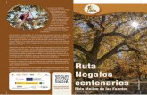 Ruta Nogales centenarios - Nueces de Nerpio