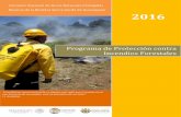 Programa de Protección contra Incendios Forestales