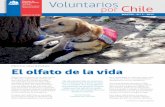 Voluntarios Chile por