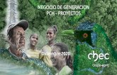 NEGOCIO DE GENERACION PCH - PROYECTOS