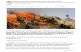 Incendios forestales y los bomberos que necesita el Perú