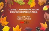 CONSEJO LATINOAMERICANO DE CIENCIAS SOCIALES (CLACSO ...