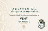 Capítulo 24 del T-MEC Principales compromisos