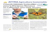 la mariposa monarca - attra.ncat.org
