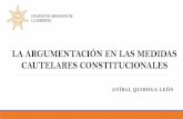 LA ARGUMENTACIÓN EN LAS MEDIDAS CAUTELARES CONSTITUCIONALES