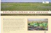 Herbicidas en arroz - Revista técnica agraria de INTIA