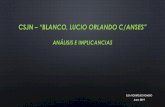 CSJN “BLANCO, LUCIO ORLANDO C/ANSES”