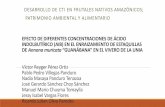 DESARROLLO DE CTI EN FRUTALES NATIVOS AMAZÓNICOS ...