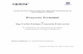 Proyecto Terminal - Repositorio CIDESI: Página de inicio
