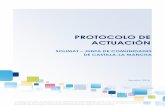 PROPUESTA DE PROTOCOLO - STAS-CLM