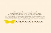 3102362146 / 3125323038 - Aracataca