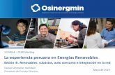 VII ARIAE La experiencia peruana en Energías Renovables