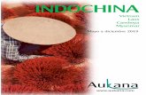 INDOCHINA - Aukana