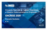ENCRIGE 2020 - inegi.org.mx