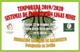 LIGA PROVINCIAL BABYBASKET 19/20 - Club Baloncesto Morón
