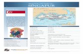 Negociar con éxito en SINGAPUR