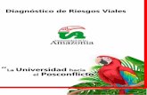 Universidad hacia Posconflicto - Uniamazonia