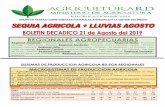 MACROSISTEMAS DE PRODUCCION AGRICOLA