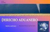 DERECHO ADUANERO - sistemasecuiep.com